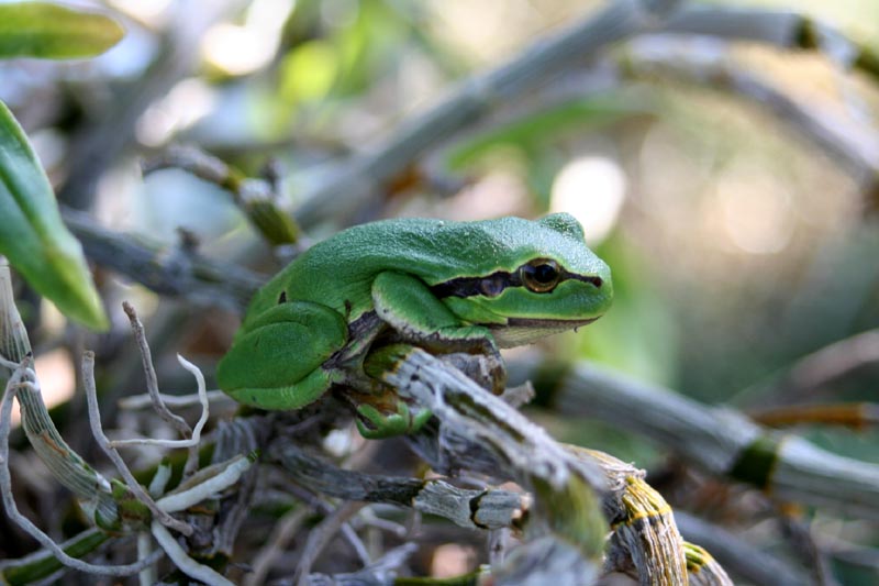 Killikus&reg; Fotographie